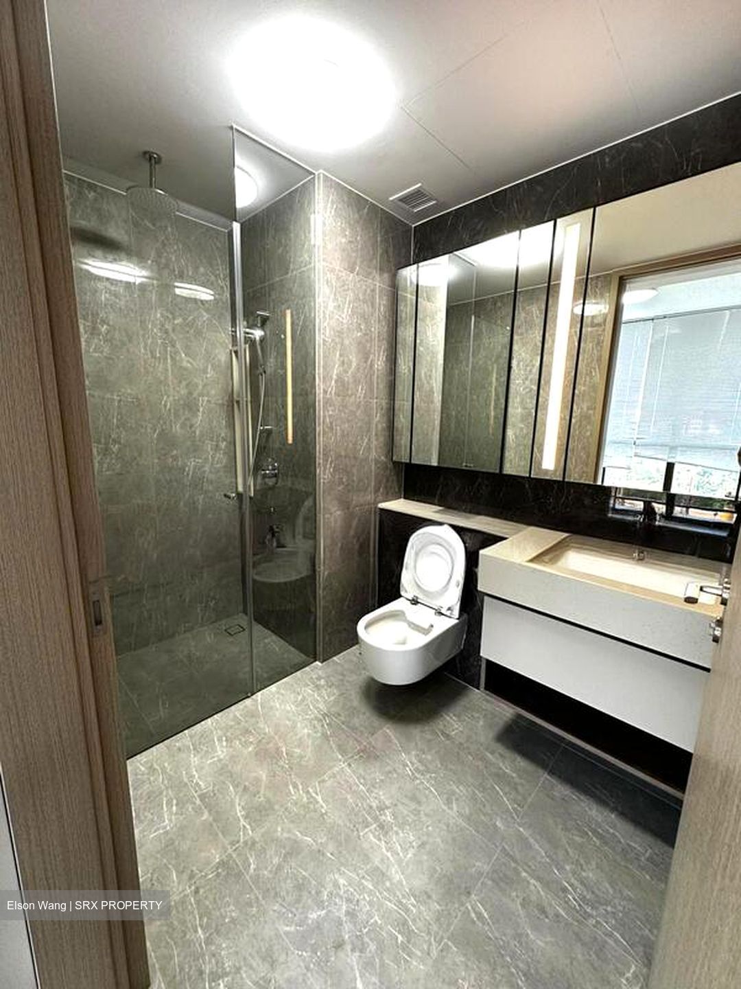 Dairy Farm Residences (D23), Apartment #525456761